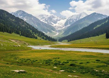 Kashmir 