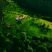 Ooty